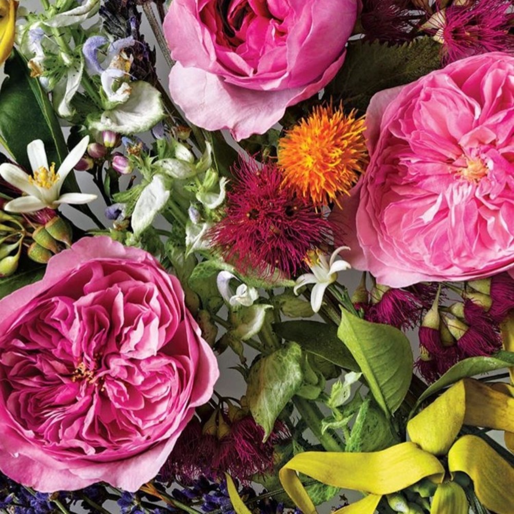 Meet your Posher, Caroline